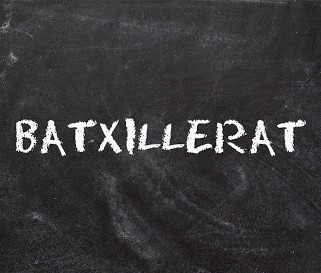 Conclusions sobre el currículum de matemàtiques a Batxillerat